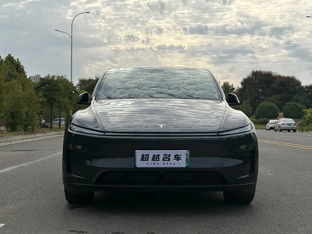 Tesla Model Y — миниатюра 2
