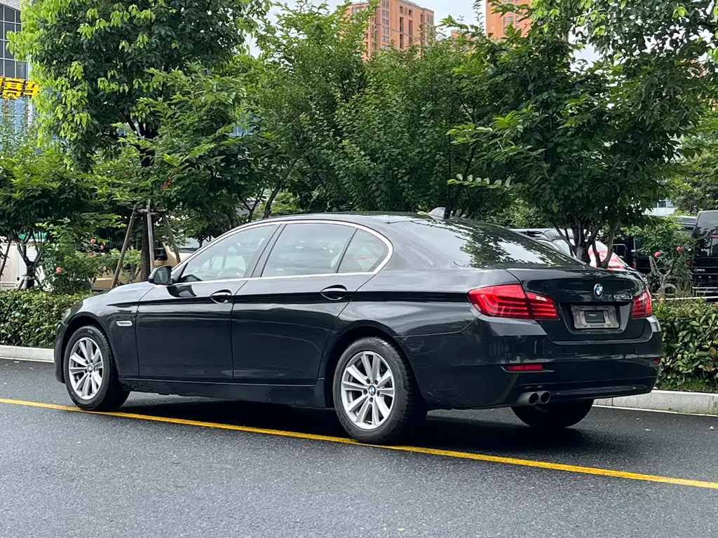BMW 5 Series 5 2017 520Li Elegant