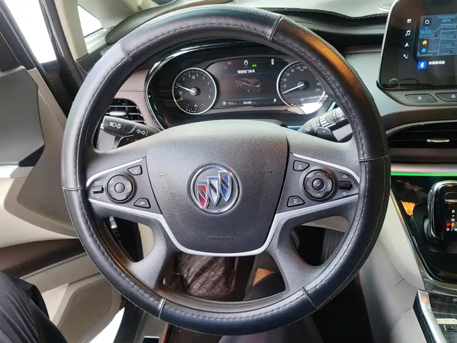 Buick GL8 — миниатюра 15