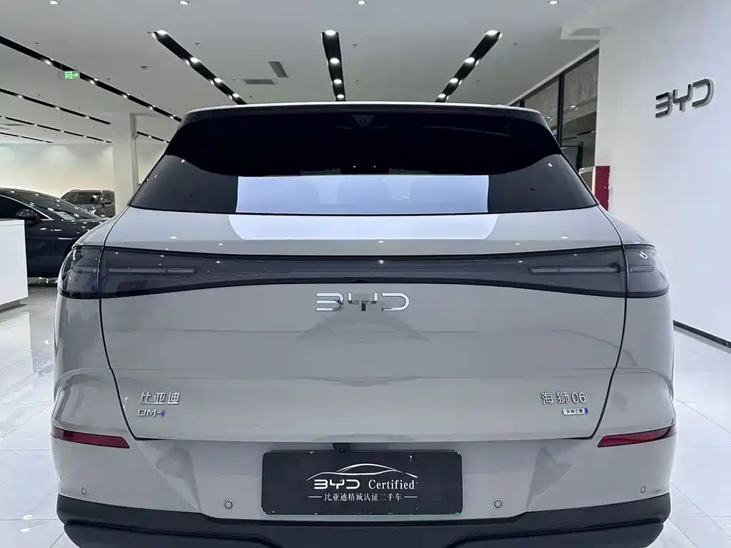 BYD Sealion 06 — миниатюра 10