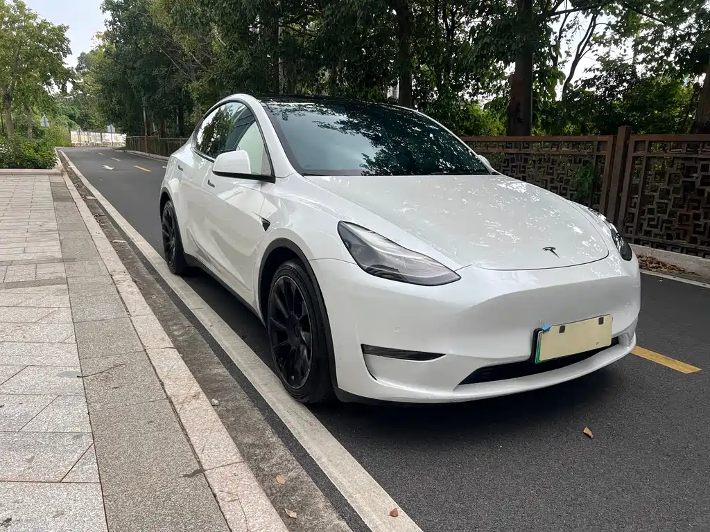 Tesla Model Y — миниатюра 3