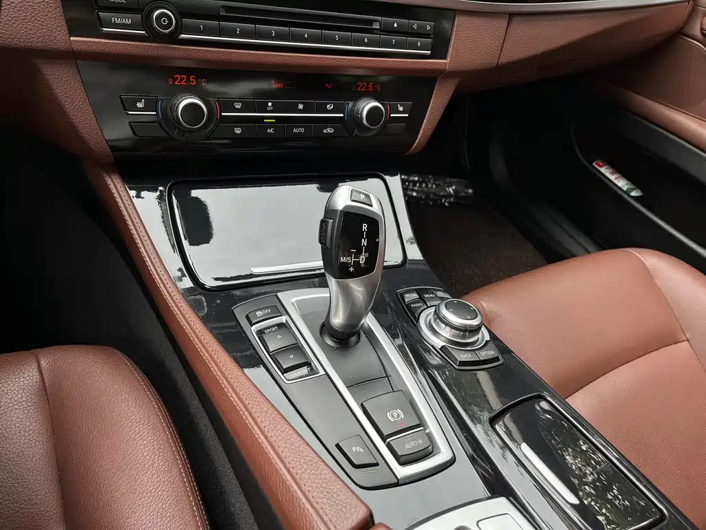 BMW 5 Series 5 2017 520Li Elegant