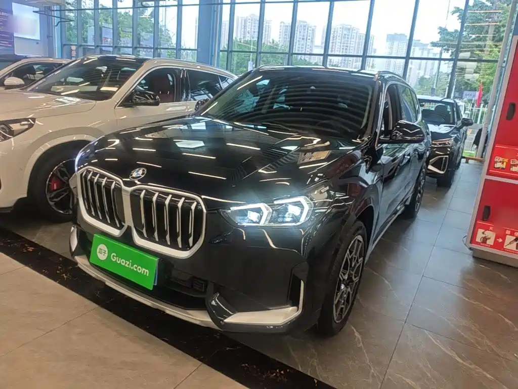 BMW X1 — миниатюра 2