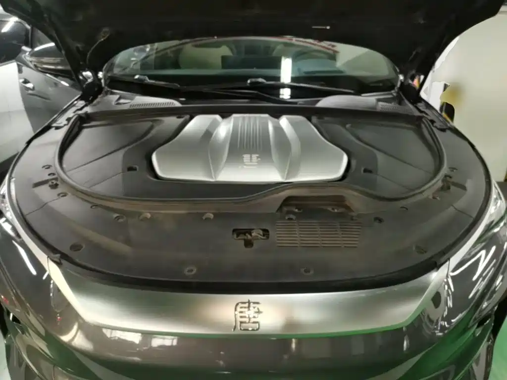 BYD Tang New Energy — миниатюра 20