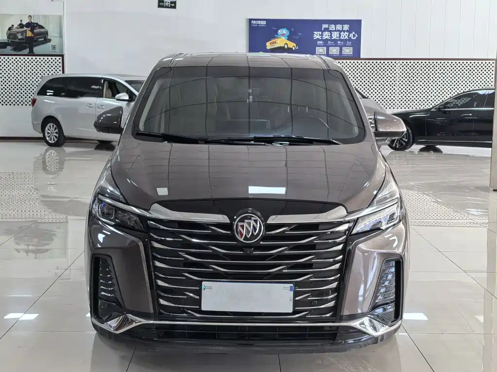 Buick GL8 — миниатюра 2