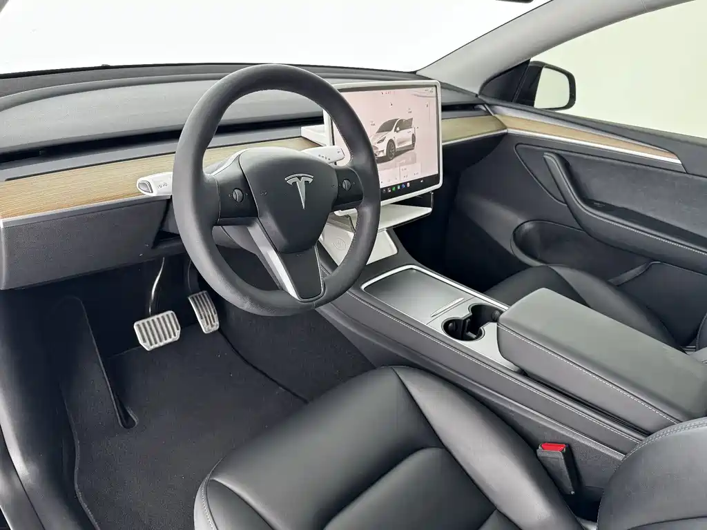 Tesla Model Y — миниатюра 4