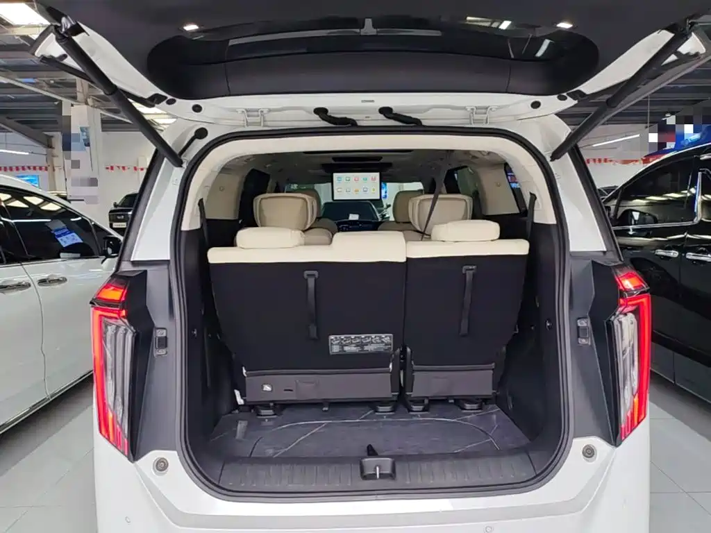 GAC Trumpchi E9 2023 — фото 18