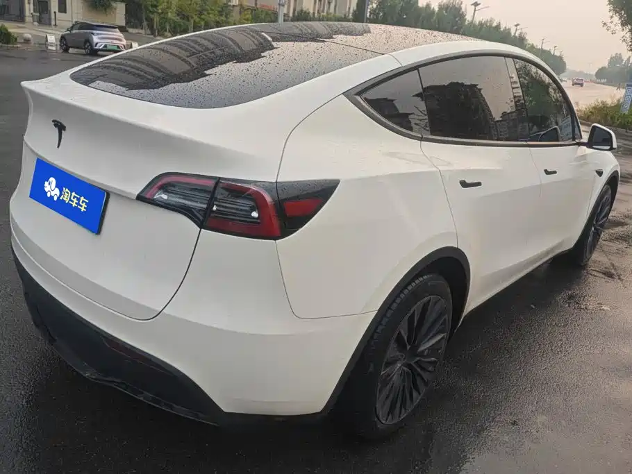 Tesla Model Y — миниатюра 3