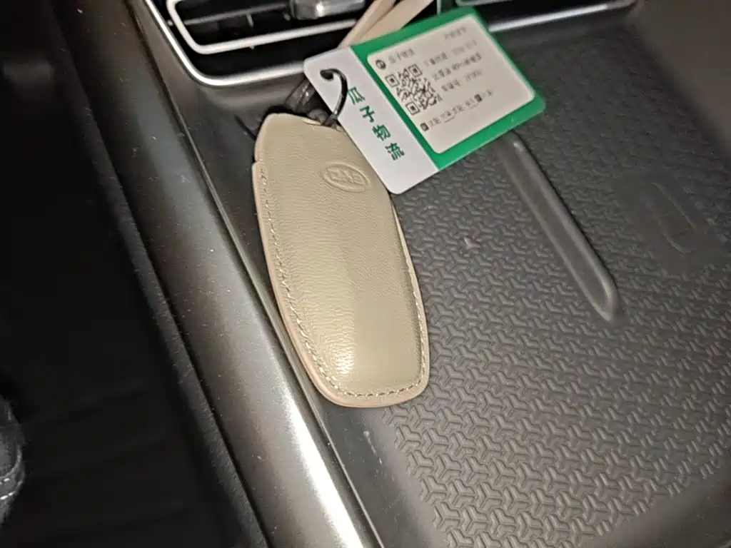 BYD Song Pro DM-i 2025 — фото 8