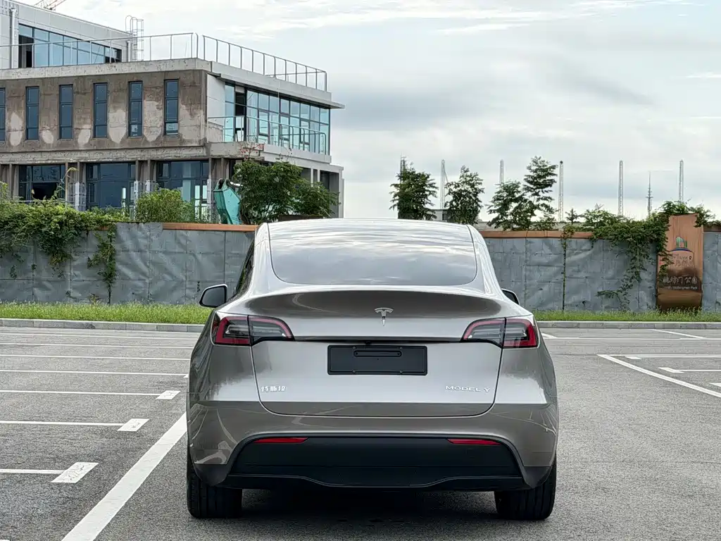 Tesla Model Y — миниатюра 18
