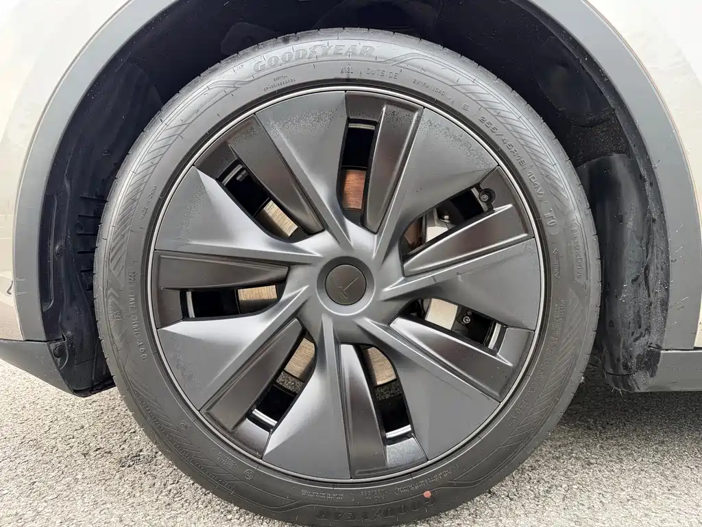 Tesla Model Y — миниатюра 22