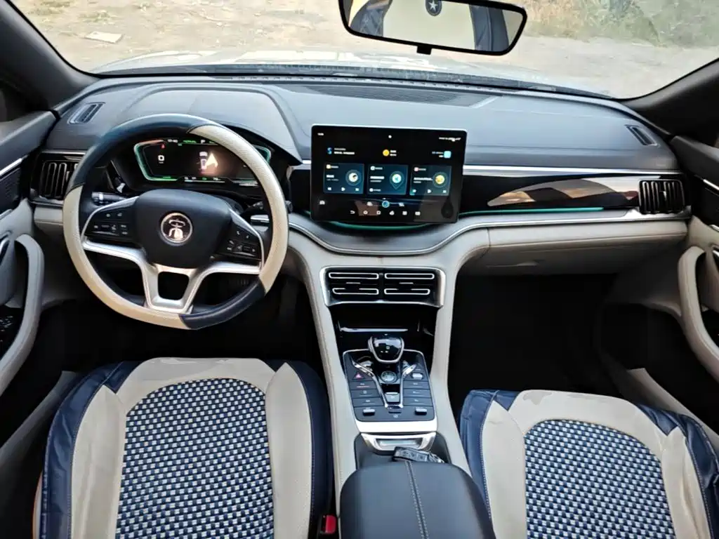BYD PLUS New Energy — миниатюра 10