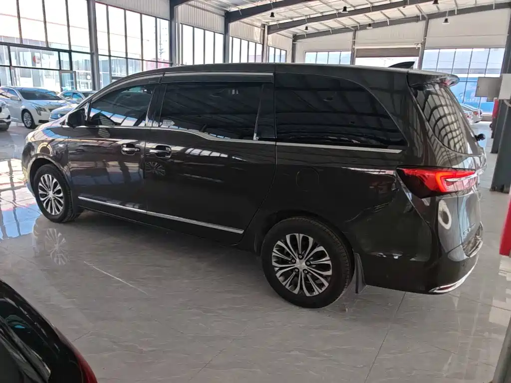 Buick GL8 — миниатюра 5