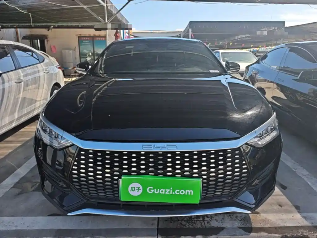 BYD e9 — миниатюра 3