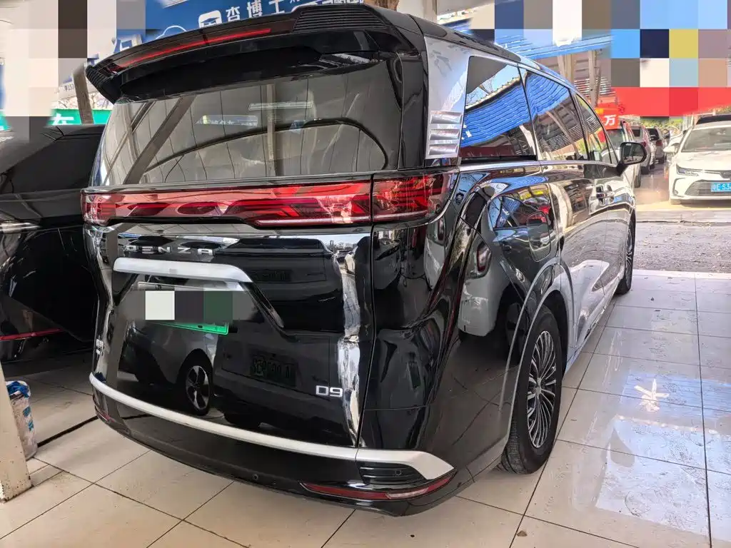 Denza Denza D9 — миниатюра 3
