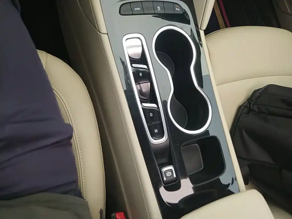Buick Regal — миниатюра 14