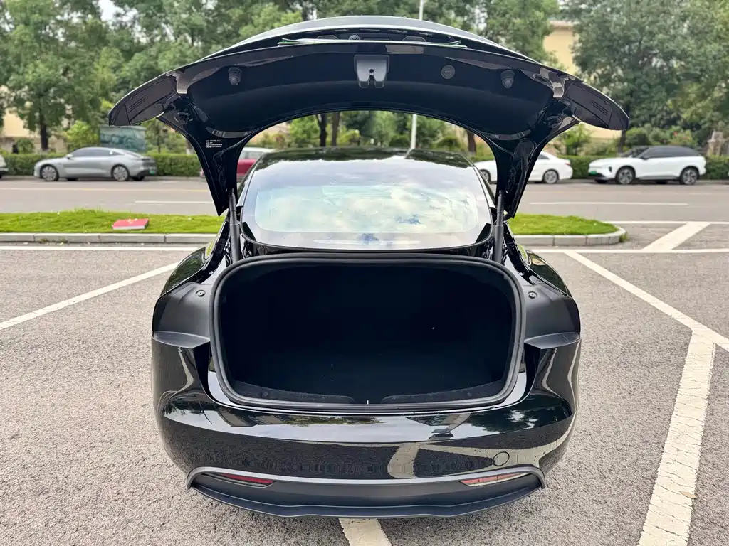 Tesla Model 3 — миниатюра 18