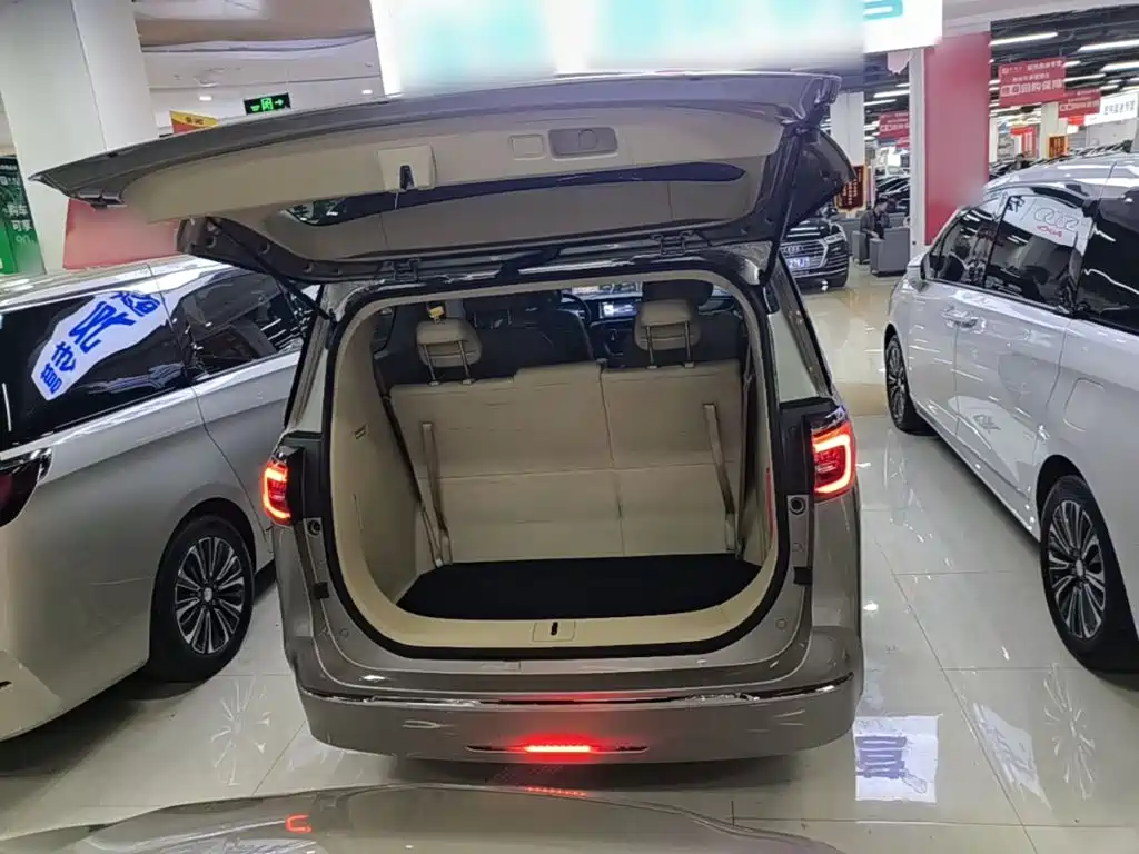 Buick GL8 — миниатюра 19