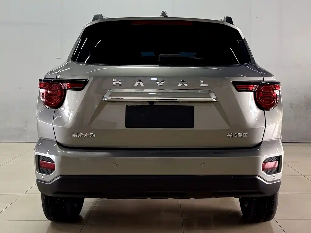 Haval Big Dog PLUS — миниатюра 5