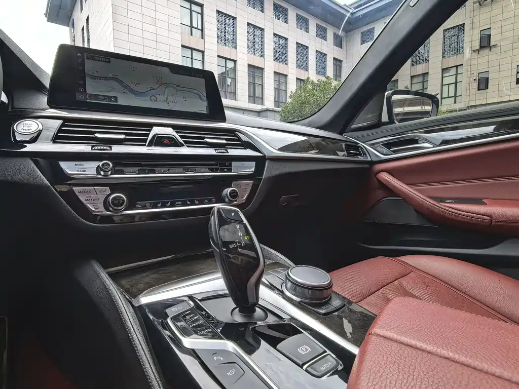 BMW 5 Series 5 2019 530Li Premium M Sport