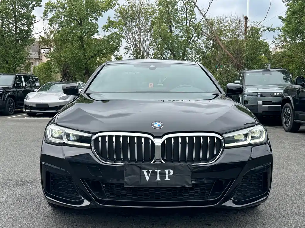 BMW 5 Series — миниатюра 2