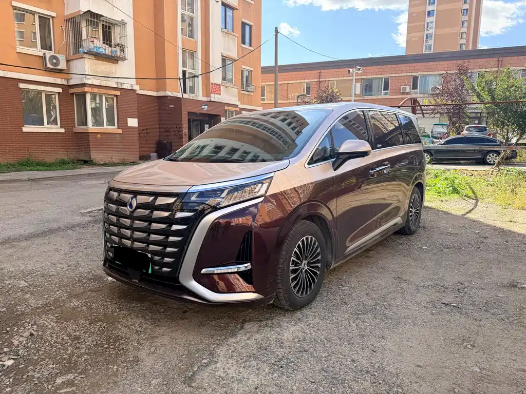 Denza Denza D9