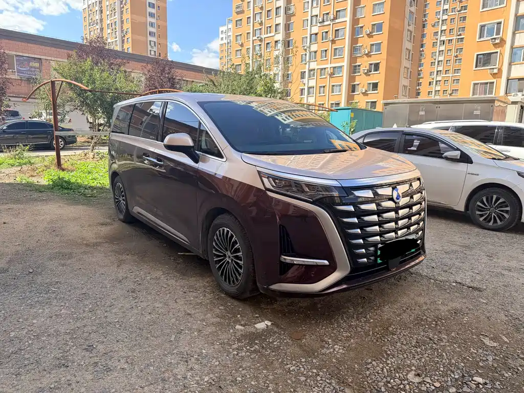 Denza Denza D9 — миниатюра 3