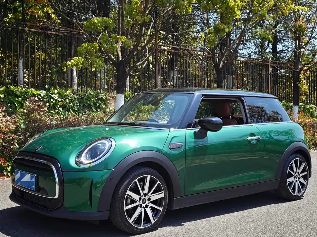 Mini Mini 2022
