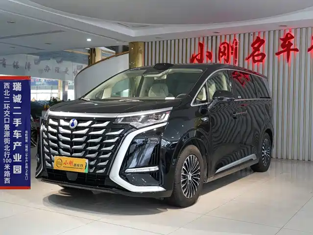 2025 Denza D9