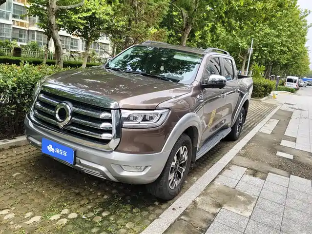 GREAT WALL CANNON 2022