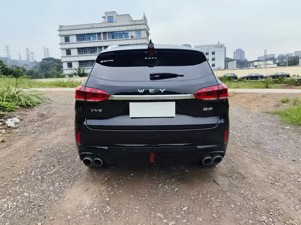 Wey Wey VV6 — миниатюра 9