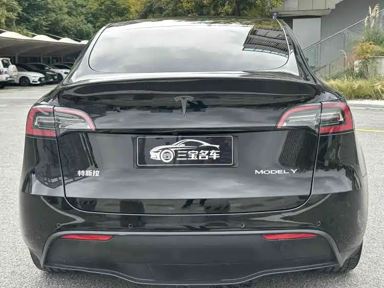 Tesla Model Y — миниатюра 5