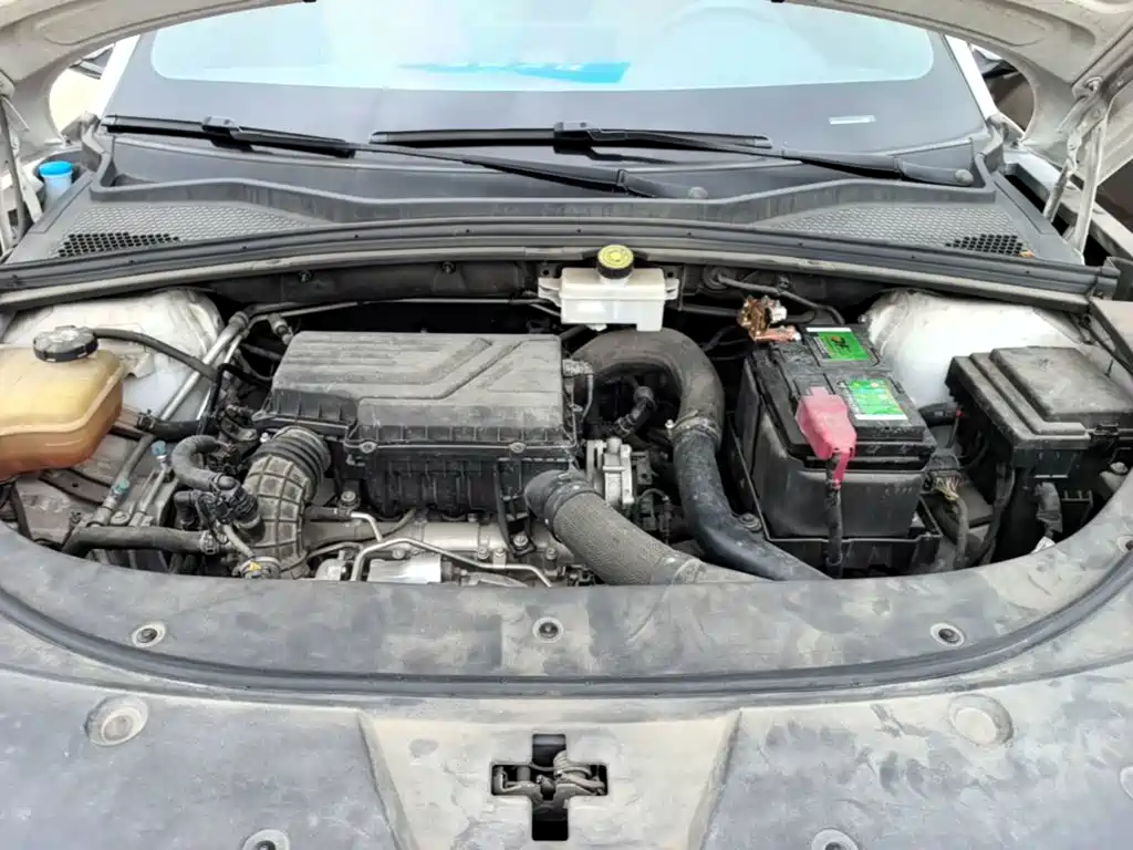 BYD PLUS — миниатюра 20