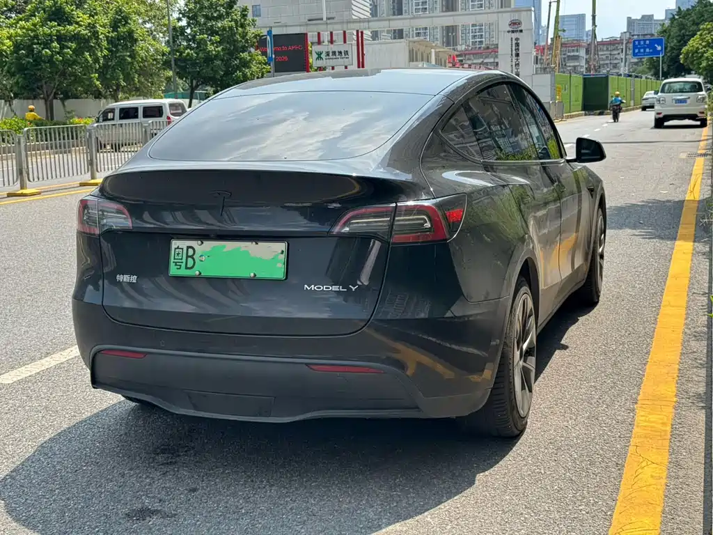 Tesla Model Y — миниатюра 9