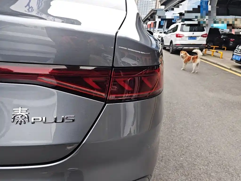 BYD Qin PLUS — миниатюра 8