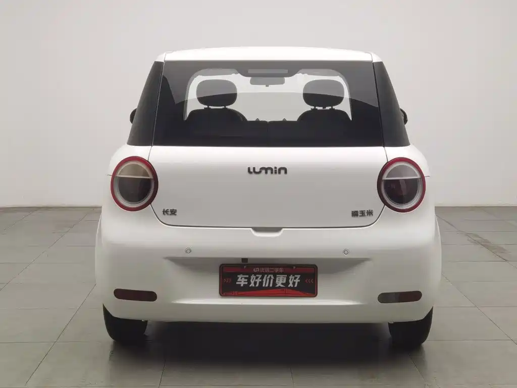 Qiyuan Lumin — миниатюра 4