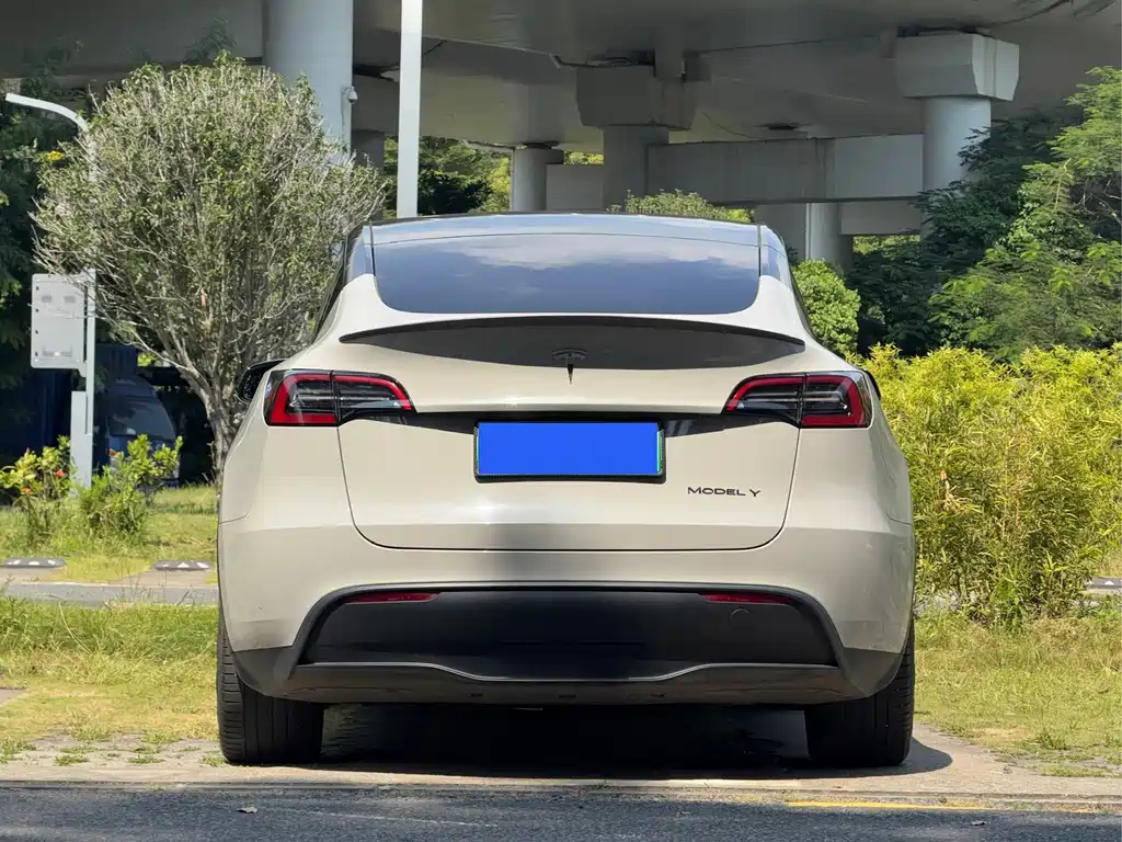 Tesla Model Y — миниатюра 14