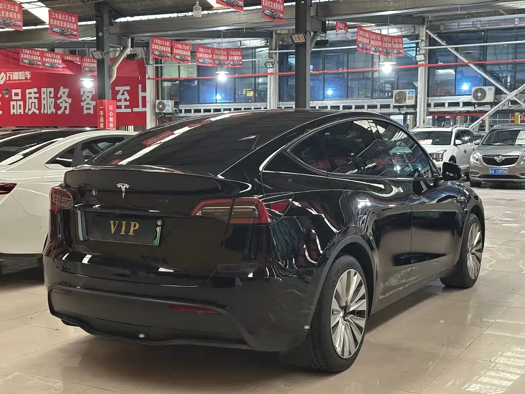 Tesla Model Y — миниатюра 5