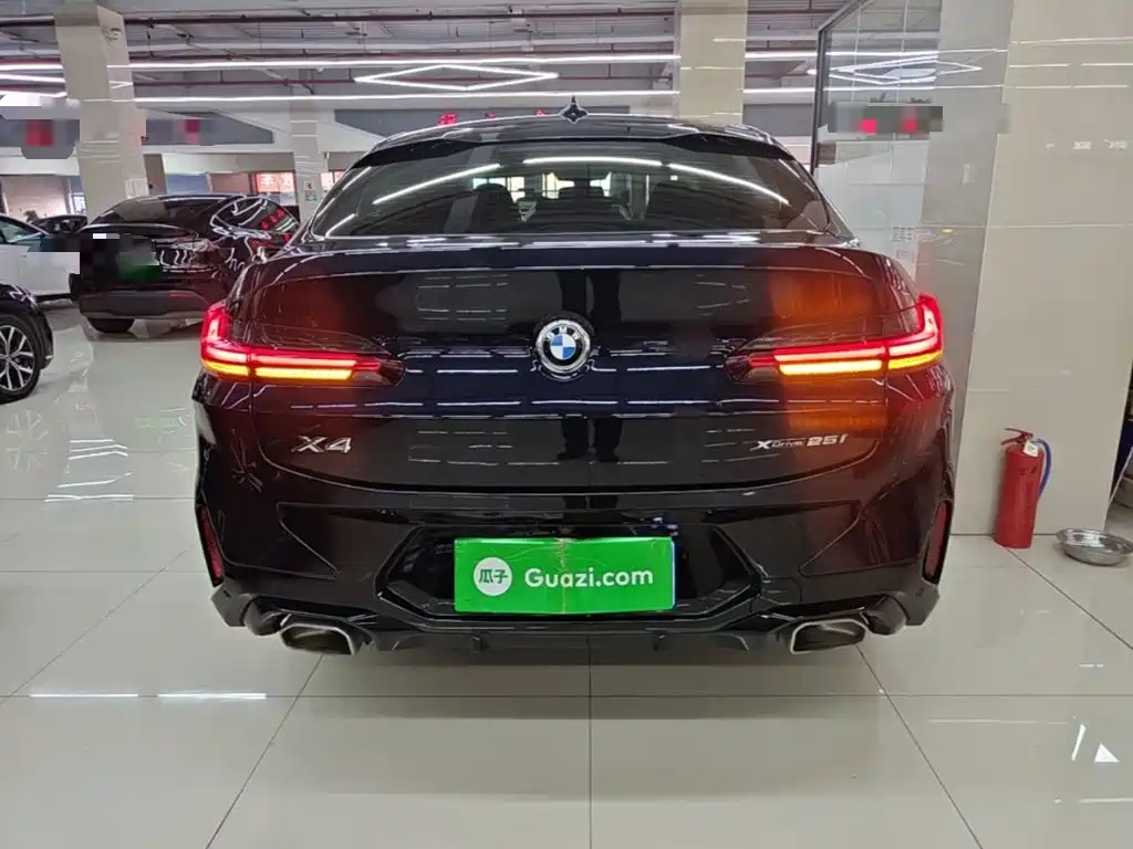 BMW X4 — миниатюра 6