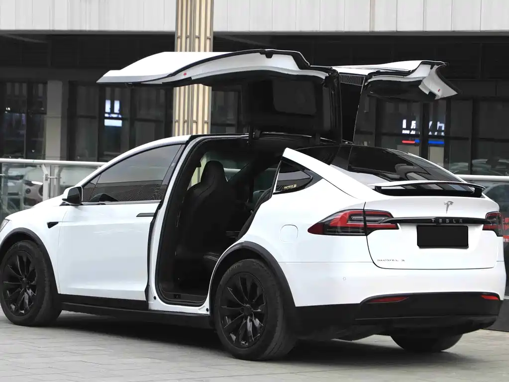 Tesla Model X — миниатюра 12