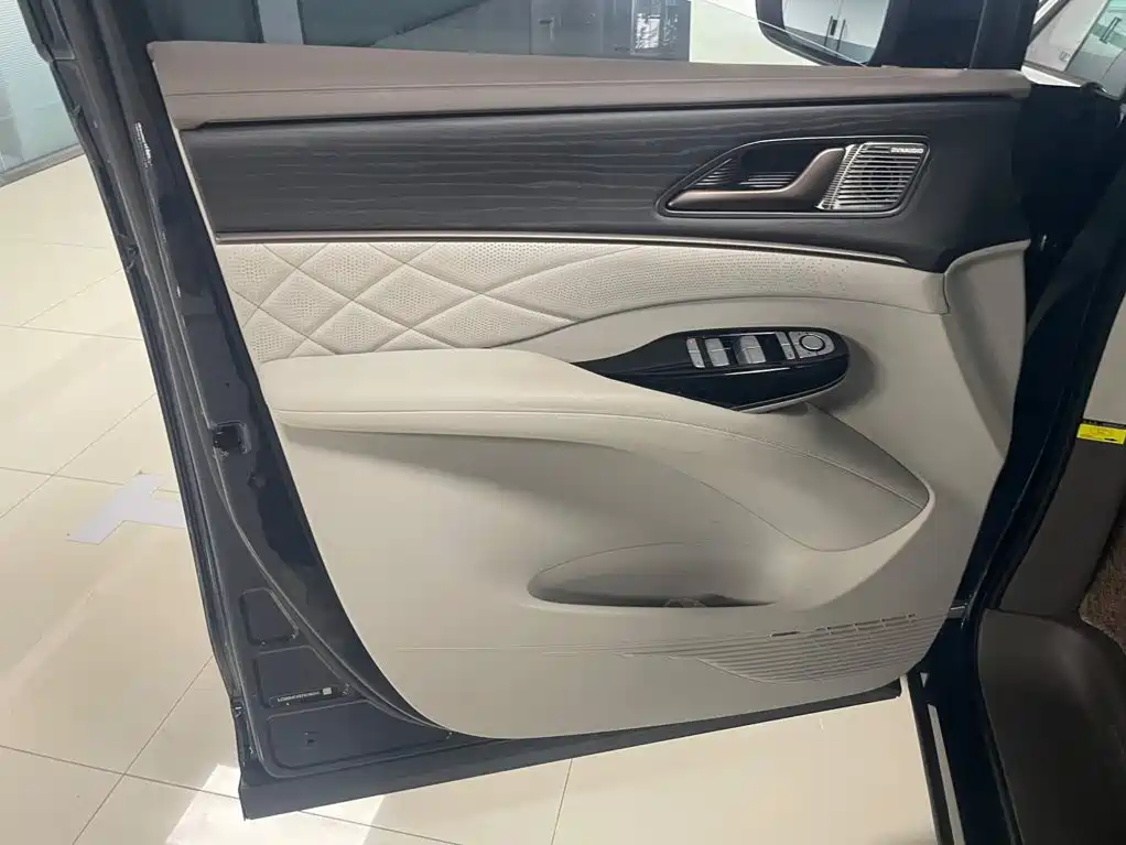 Denza Denza D9 — миниатюра 6