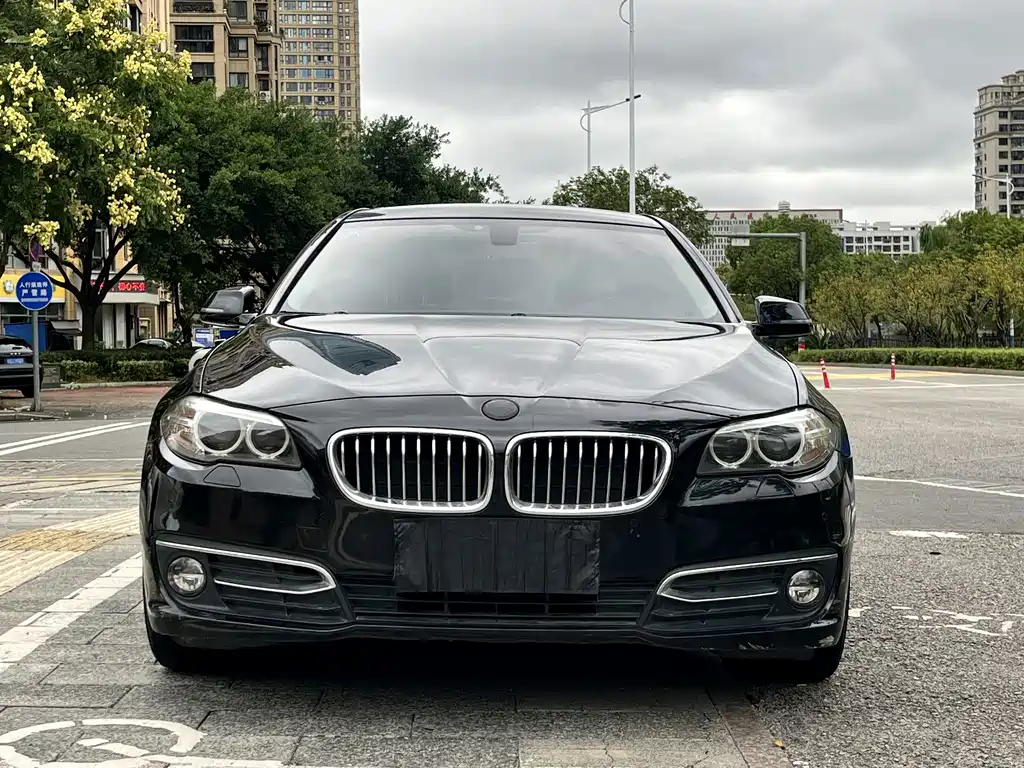 BMW 5 Series — миниатюра 3