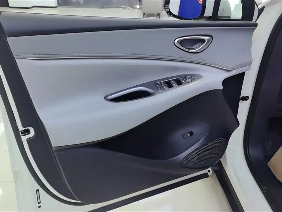 BYD SEA LION 06 NEW ENERGY