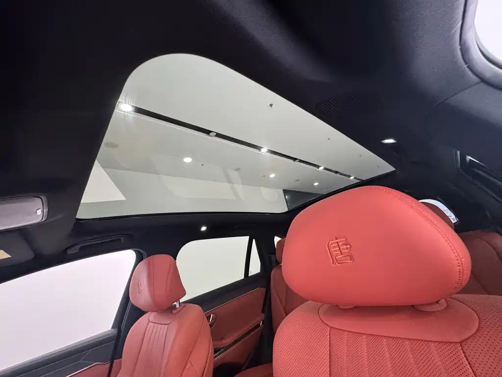 BYD Дон Л. — миниатюра 25
