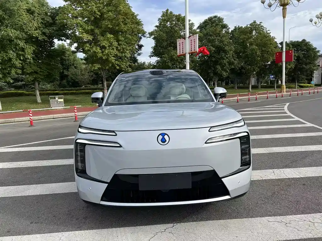 Denza Denza N8L — миниатюра 2