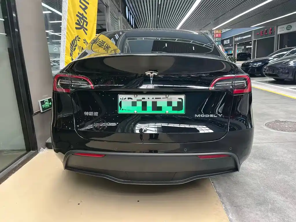 Tesla Model Y — миниатюра 11