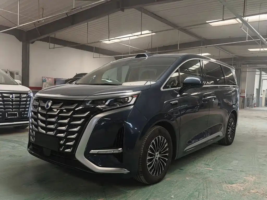 2025 Denza D9 - zdjęcie 1 z 16