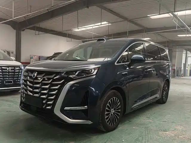2025 Denza D9