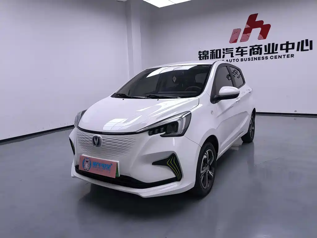 2021 Changan Benni EC/EV - zdjęcie 1 z 20