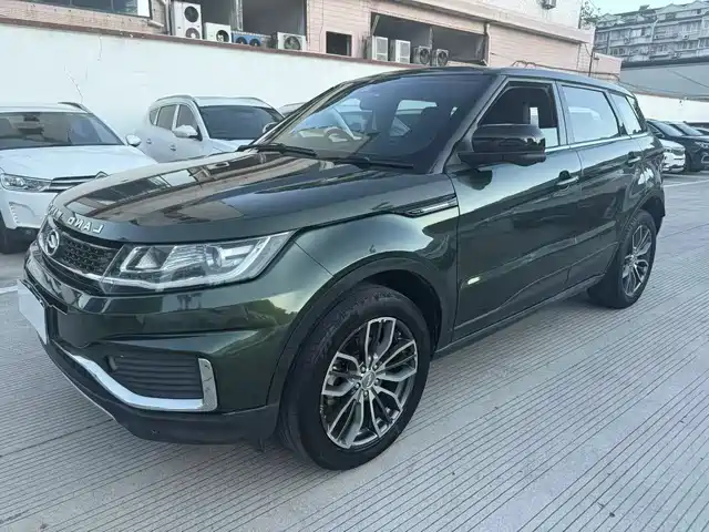 LU FENG LUFENG X7 2019
